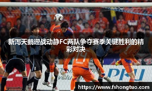 新泻天鹅迎战动静FC两队争夺赛季关键胜利的精彩对决
